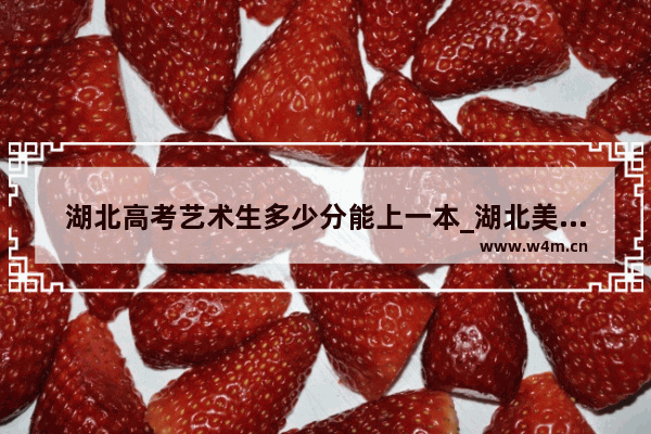 湖北高考艺术生多少分能上一本_湖北美术学院在湖北省的综合分分数线2023