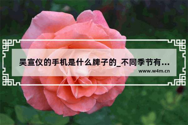 吴宣仪的手机是什么牌子的_不同季节有哪些穿衣法则