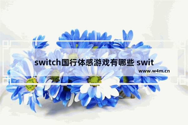 switch国行体感游戏有哪些 switch游戏推荐2023年1月