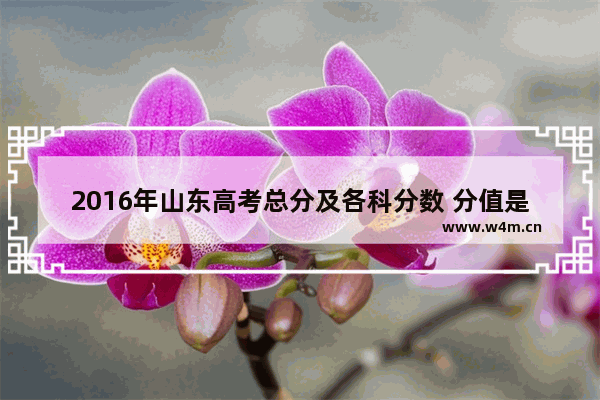 2016年山东高考总分及各科分数 分值是多少_2016年中考理综各科多少分