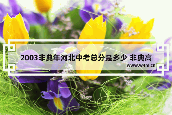 2003非典年河北中考总分是多少 非典高考分数线降没降