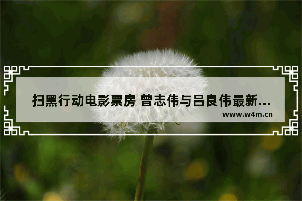 扫黑行动电影票房 曾志伟与吕良伟最新电影叫什么名字来着