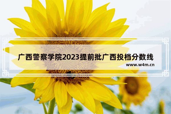 广西警察学院2023提前批广西投档分数线 高考分数线广西提前批专业