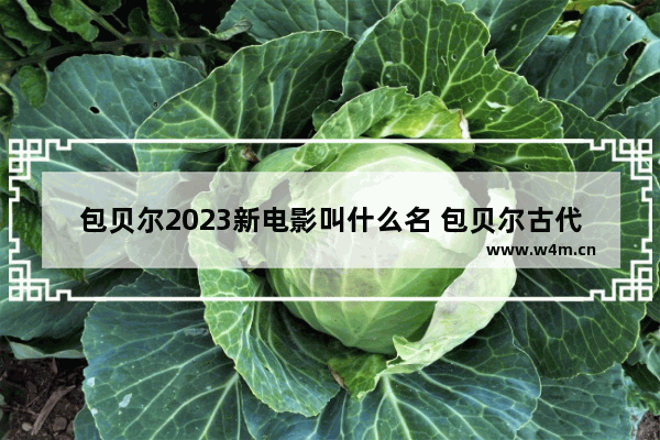 包贝尔2023新电影叫什么名 包贝尔古代最新电影有哪些