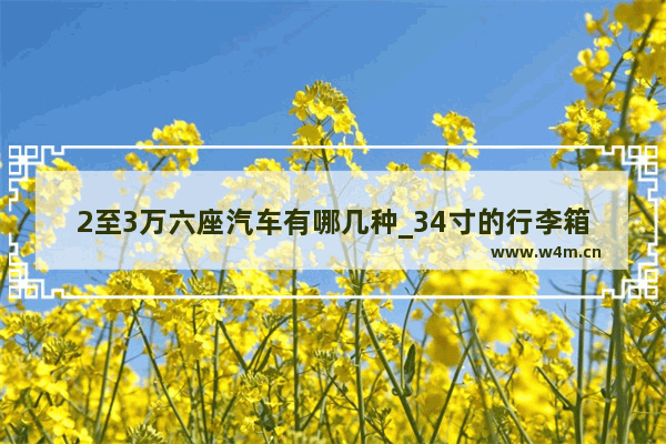 2至3万六座汽车有哪几种_34寸的行李箱可以上汽车吗