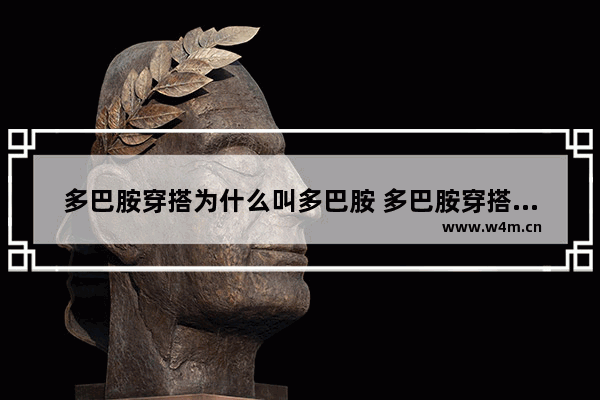 多巴胺穿搭为什么叫多巴胺 多巴胺穿搭不够多巴胺运动来凑