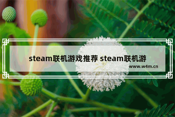 steam联机游戏推荐 steam联机游戏推荐排行