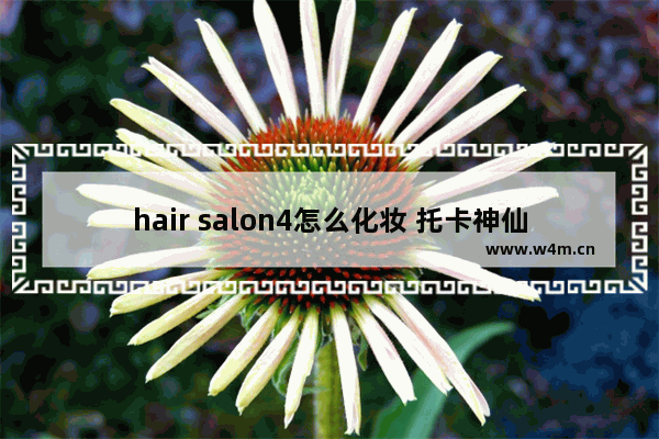 hair salon4怎么化妆 托卡神仙穿搭和捏脸