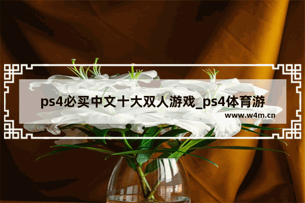 ps4必买中文十大双人游戏_ps4体育游戏排行榜前十名