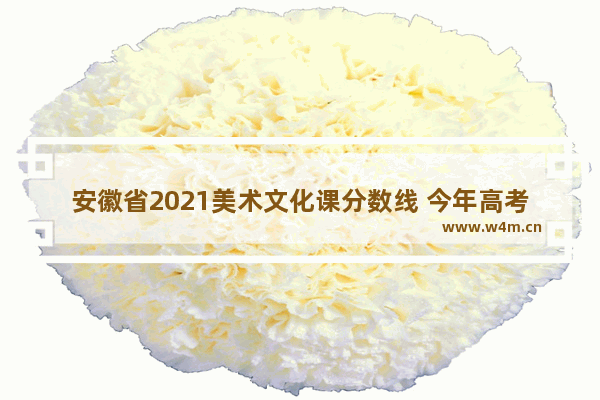 安徽省2021美术文化课分数线 今年高考分数线安徽美术