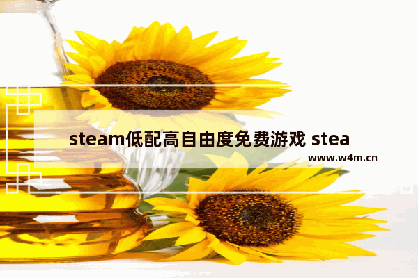 steam低配高自由度免费游戏 steam免费游戏推荐低配