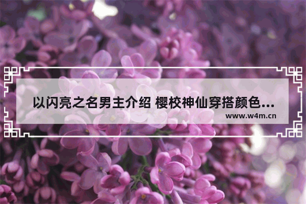 以闪亮之名男主介绍 樱校神仙穿搭颜色搭配