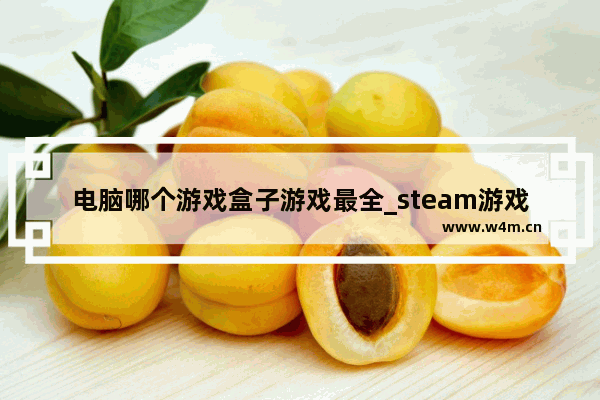 电脑哪个游戏盒子游戏最全_steam游戏代购店铺推荐