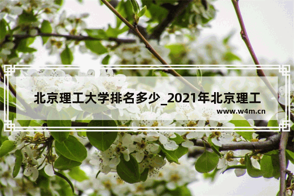 北京理工大学排名多少_2021年北京理工大学高考录取分数线