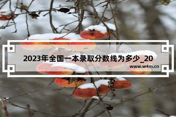 2023年全国一本录取分数线为多少_2023高考655分算什么水平