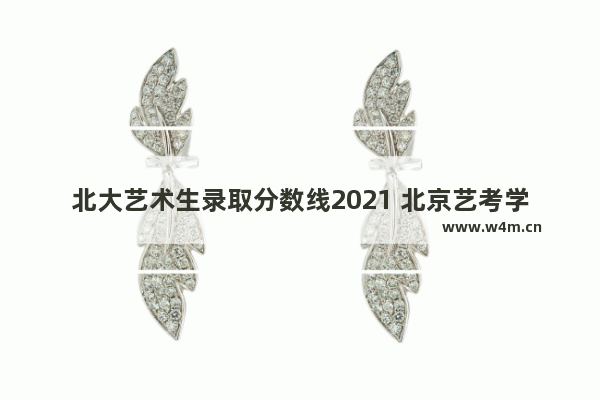 北大艺术生录取分数线2021 北京艺考学校高考分数线