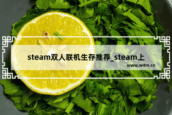 steam双人联机生存推荐_steam上有哪些好玩的游戏可以双人本地玩