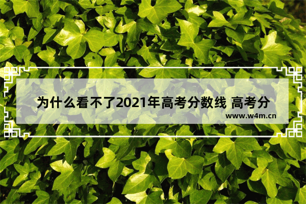 为什么看不了2021年高考分数线 高考分数线今天几点出的