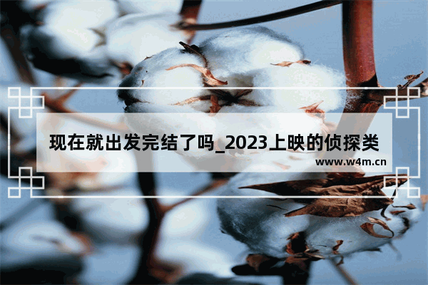 现在就出发完结了吗_2023上映的侦探类电影