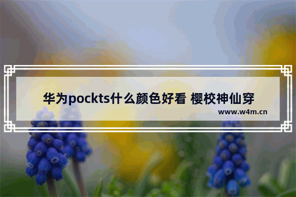 华为pockts什么颜色好看 樱校神仙穿搭紫色版