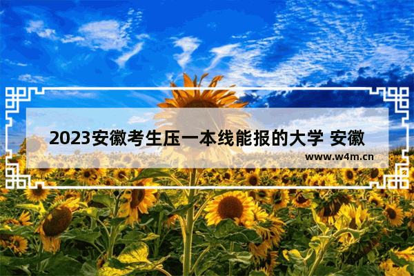 2023安徽考生压一本线能报的大学 安徽高考分数线各校外省