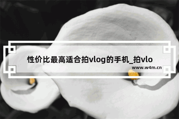 性价比最高适合拍vlog的手机_拍vlog最好的手机排行榜