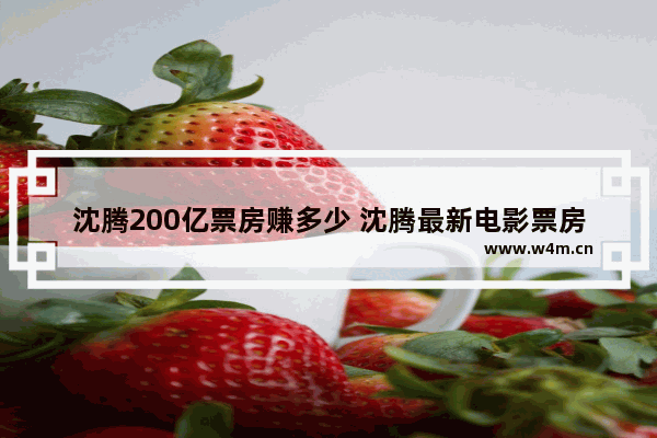 沈腾200亿票房赚多少 沈腾最新电影票房多少亿了啊