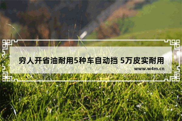 穷人开省油耐用5种车自动挡 5万皮实耐用新车推荐哪款车好点