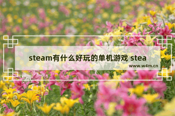 steam有什么好玩的单机游戏 steam游戏推荐3a大作单机