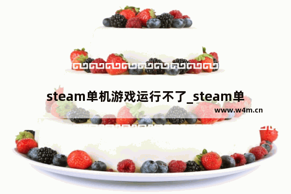 steam单机游戏运行不了_steam单机游戏怎么免费玩