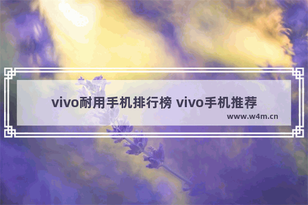 vivo耐用手机排行榜 vivo手机推荐买哪一款好