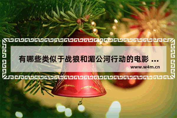 有哪些类似于战狼和湄公河行动的电影 与战狼题材相近最新电影推荐一下