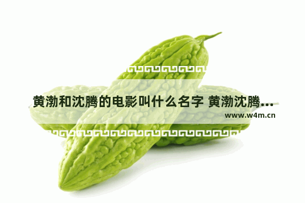 黄渤和沈腾的电影叫什么名字 黄渤沈腾最新电影叫什么来着呢