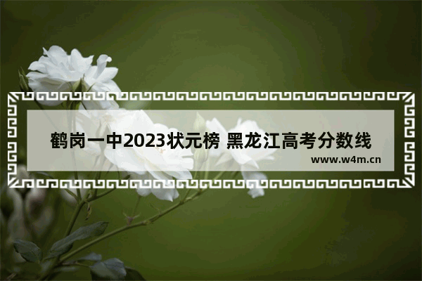 鹤岗一中2023状元榜 黑龙江高考分数线 状元