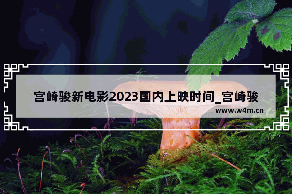 宫崎骏新电影2023国内上映时间_宫崎骏2023新上映电影叫什么