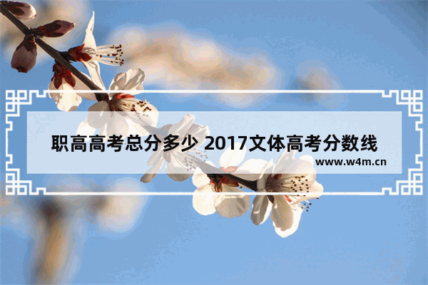 职高高考总分多少 2017文体高考分数线