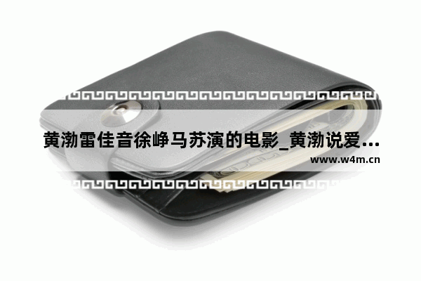 黄渤雷佳音徐峥马苏演的电影_黄渤说爱死不死是哪个电影