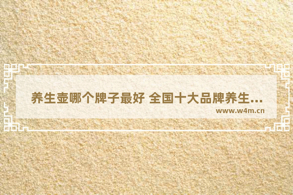 养生壶哪个牌子最好 全国十大品牌养生壶排名第一