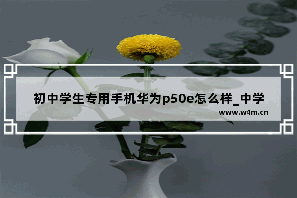 初中学生专用手机华为p50e怎么样_中学生适用的手机