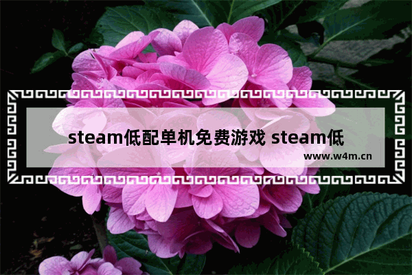 steam低配单机免费游戏 steam低配置单机游戏推荐手机