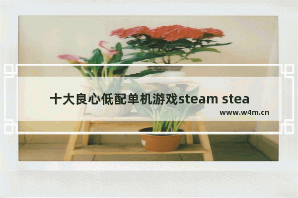 十大良心低配单机游戏steam steam低配置单机游戏推荐电脑