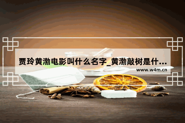 贾玲黄渤电影叫什么名字_黄渤敲树是什么电影