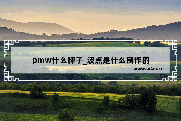 pmw什么牌子_波点是什么制作的