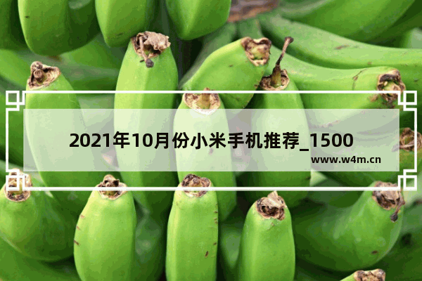 2021年10月份小米手机推荐_1500-2000元小米手机哪种好用