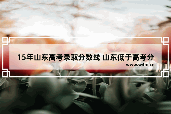 15年山东高考录取分数线 山东低于高考分数线15分