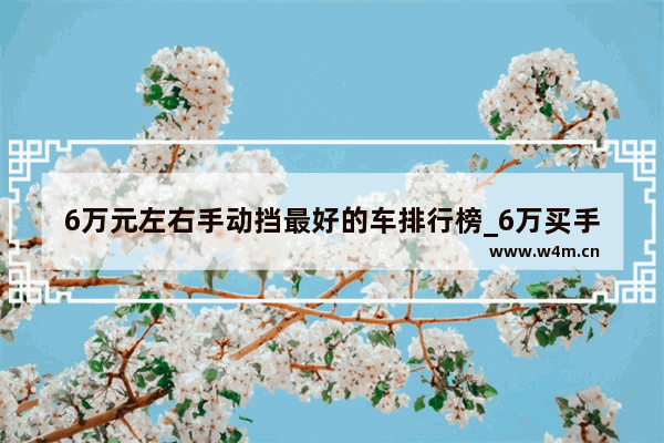 6万元左右手动挡最好的车排行榜_6万买手动挡什么车好