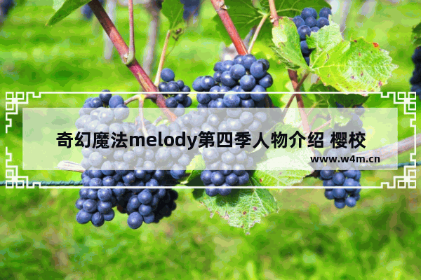 奇幻魔法melody第四季人物介绍 樱校神仙穿搭小丑女篇