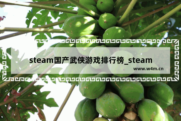 steam国产武侠游戏排行榜_steam低配单机免费游戏