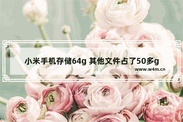 小米手机存储64g 其他文件占了50多g怎么回事 大容量垃圾佬手机推荐