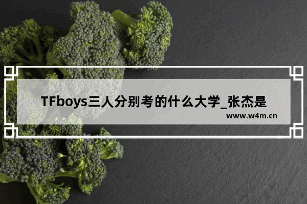 TFboys三人分别考的什么大学_张杰是几线艺人